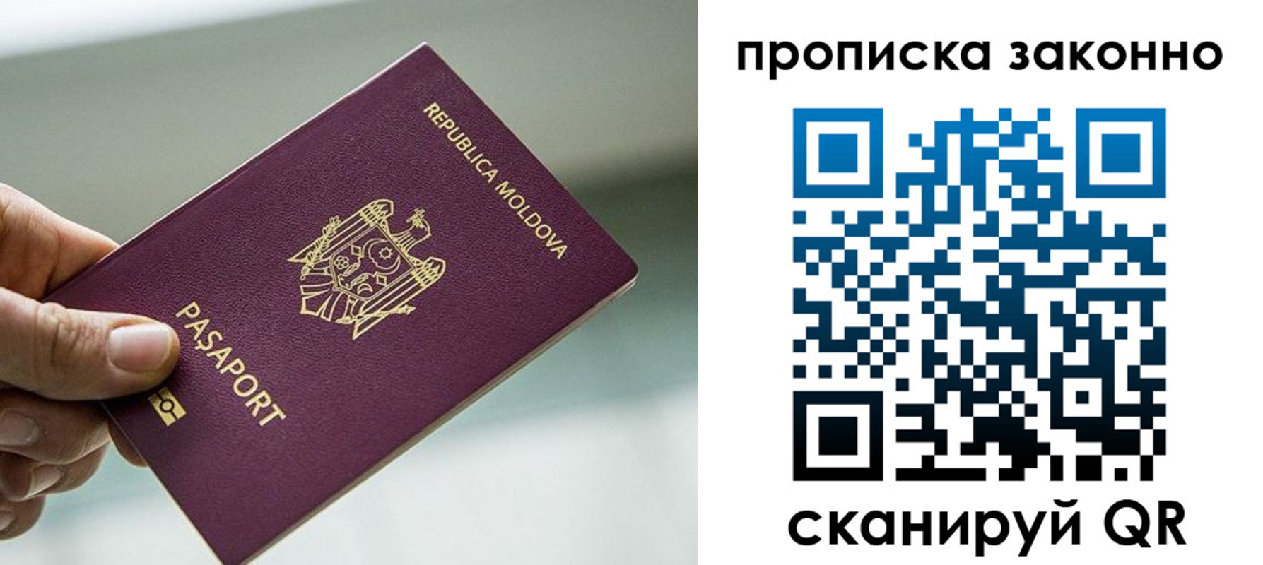 временная регистрация недорого в Рошале